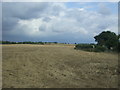 Stubble field, Thornwood Common in CM16 6NJ