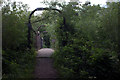 Bridge on the Wraysbury to Horton path in SL3 9PP