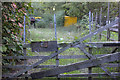 Gate on Park Lane, Horton in SL3 9PR