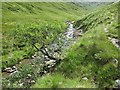 On the west bank of Allt Coire Laoigh near Tyndrum in FK20 8RX