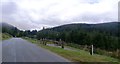 Cycle Track crosses the Whinlatter Pass in CA12 5TW