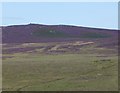 View from cairn on Landshot Hill in Northumberland