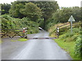Cattle grid on the edge of Pendrift Downs in PL30 4JJ