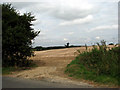 View north across stubble from Stonehouse Road in NR13 6NH