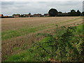 View across harvested field from Dobb's Lane in NR13 6NH
