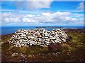 Shelter Cairn, Foel Lus in LL34 6RD