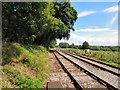 Foxfield Railway beyond Dilhorne Park in ST10 2PF