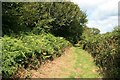 Footpath at Conegar Hill in DT6 6RG