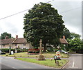 North Perrott village green in TA18 7SD