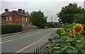 Station Road in Countesthorpe in LE8 5WR