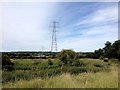 Pylons near Chainhurst in TN12 9SX
