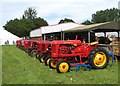 Line-up of 1950s Massey Ferguson Pony tractors in NR10 5PJ