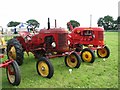 Vintage Massey Ferguson Pony tractors in NR10 5PJ