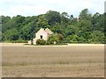 Ruined barn at Baydale Farm in Hummersknott Ward