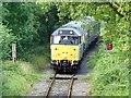 Diesel locomotive 31206 at a foot crossing on the Ecclesbourne Valley Railway in DE56 2SG