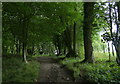 Path on the eastern slopes of the Wrekin in TF6 5AW