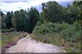 Track at Clearmount, Chobham Common in GU24 8RA