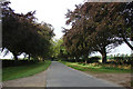King's Avenue (looking West), Sandringham in PE35 6EF