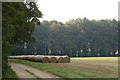 Round Straw Bales, Sandringham in PE35 6EF
