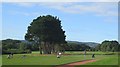 Shanklin and Sandown Golf Course, Isle of Wight in PO36 9PR