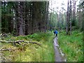 Path through the Rannoch Forest in PH17 2QR