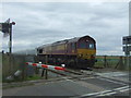 EWS Class 66, No. 66089 approaching Welney Road Level Crossing, Manea in PE15 0HB
