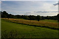 Golf course, High Elms in BR6 7JL