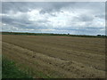 Recently harvested field, Bishop's Land in PE15 0JJ