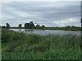 Large pond, Manea in PE15 0GR