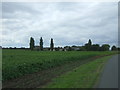 Crop field towards Witch-Elm Lodge Farm in PE15 0JX