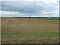 Stubble field off Byall Fen Drove in PE15 0JZ