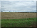 Stubble field off Byall Fen Drove in PE16 6XQ
