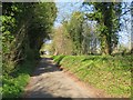 Lane towards Ibworth in Basingstoke and Deane District (B)