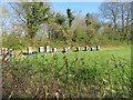 Beehives by Lockley Copse in Basingstoke and Deane District (B)