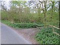 Path into Warren Bottom Copse in Basingstoke and Deane District (B)