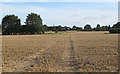 Recently Harvested Wheat Field, Willingale in CM1 2DQ