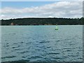 Green navigation buoy, Long Reach, River Orwell in IP10 0ET