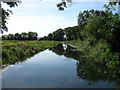The Stroudwater Canal from Walk Bridge in GL2 7HP