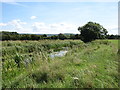 The River Frome near Frome Bridge in GL10 3SH