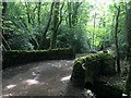 Bridge over Ryecroft Brook in S17 3NF