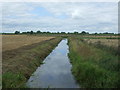 Drain near South Fen Farm in CB6 2NZ