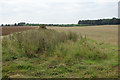 Open Field Boundary south of the A148 in PE31 6DL