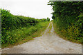 Farm track by Parkhouse Farm in TA5 1ED
