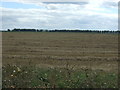 Recently harvested field south of Dam Bank Drove in CB6 3PH