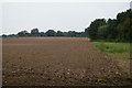 Harrowed field in PE33 0DU