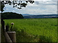Farmland near Wenlocks Wood in TF6 5BE