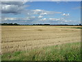 Stubble field near Eye Hall Farm in CB25 9JD