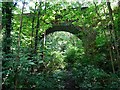 Accommodation bridge over the former Great Northern Railway in DE7 6FB