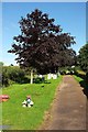 St Swithun's church burial ground, Woodbury in EX5 1NE