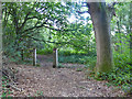 Old path gate, Gravel Pit Wood in TN17 2PR